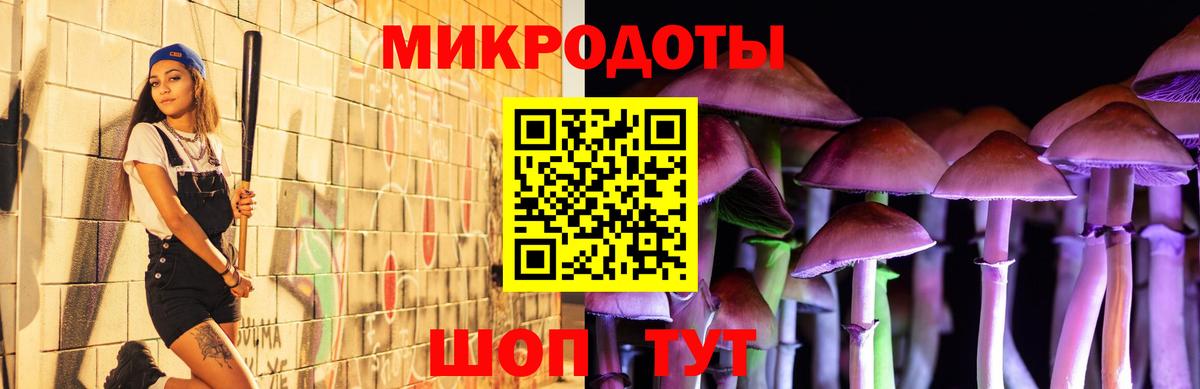 Галлюциногенные грибы Cubensis Елизово