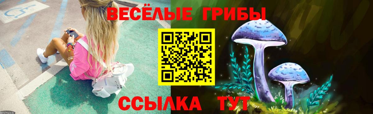 Елизово  Псилоцибиновые грибы MAGIC MUSHROOMS  Вход с VPN 